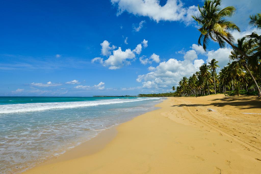 Aligio Beachfront Paradise Las Terrenas Exterior foto