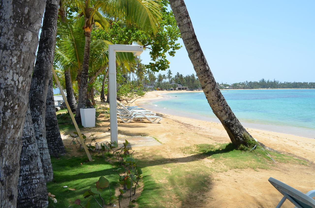Aligio Beachfront Paradise Las Terrenas Exterior foto